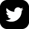 twitter logo